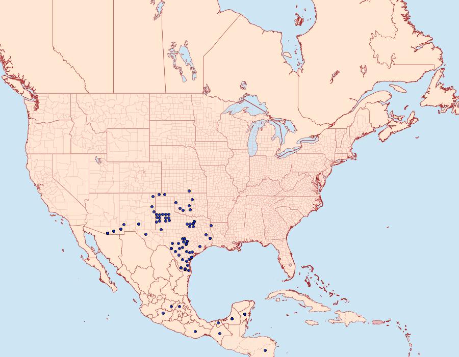 Distribution Data for Mestra amymone