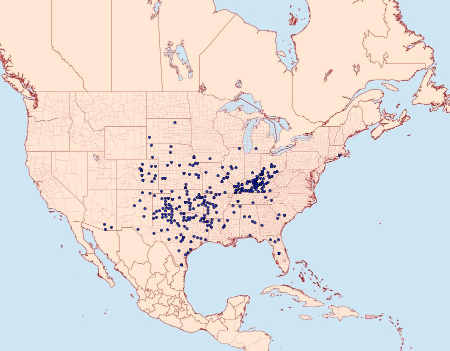 Distribution Data for Anaea andria