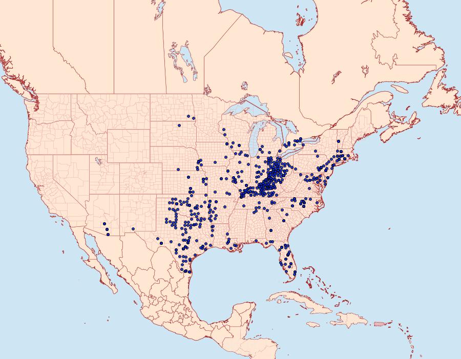 Distribution Data for Asterocampa clyton