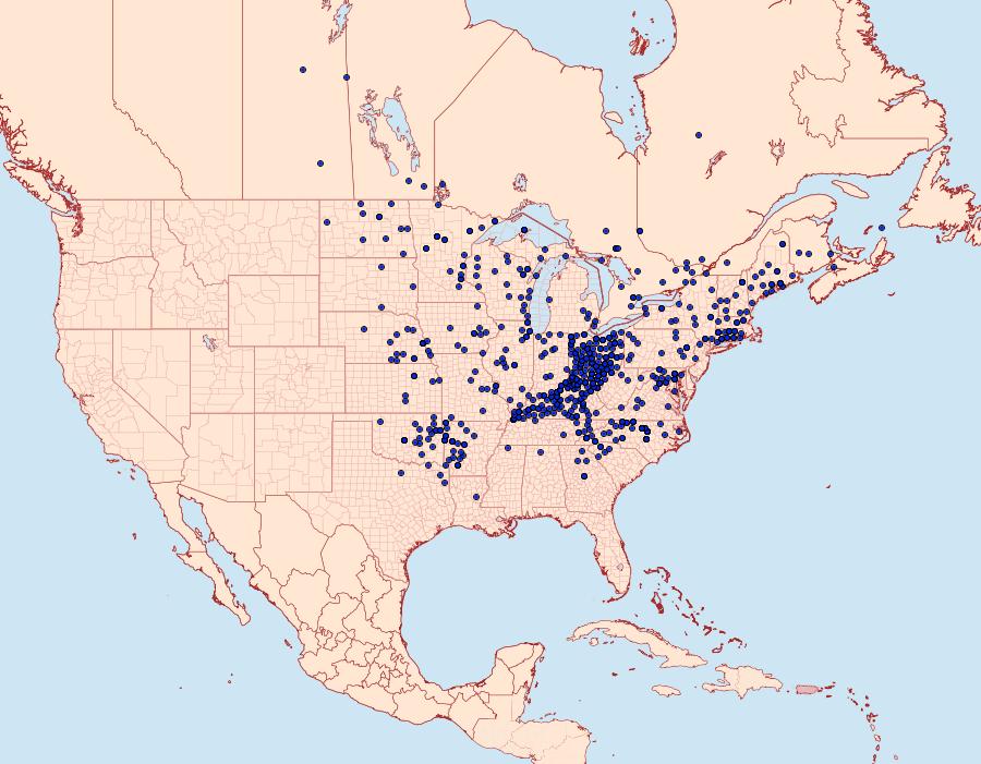 Distribution Data for Lethe anthedon