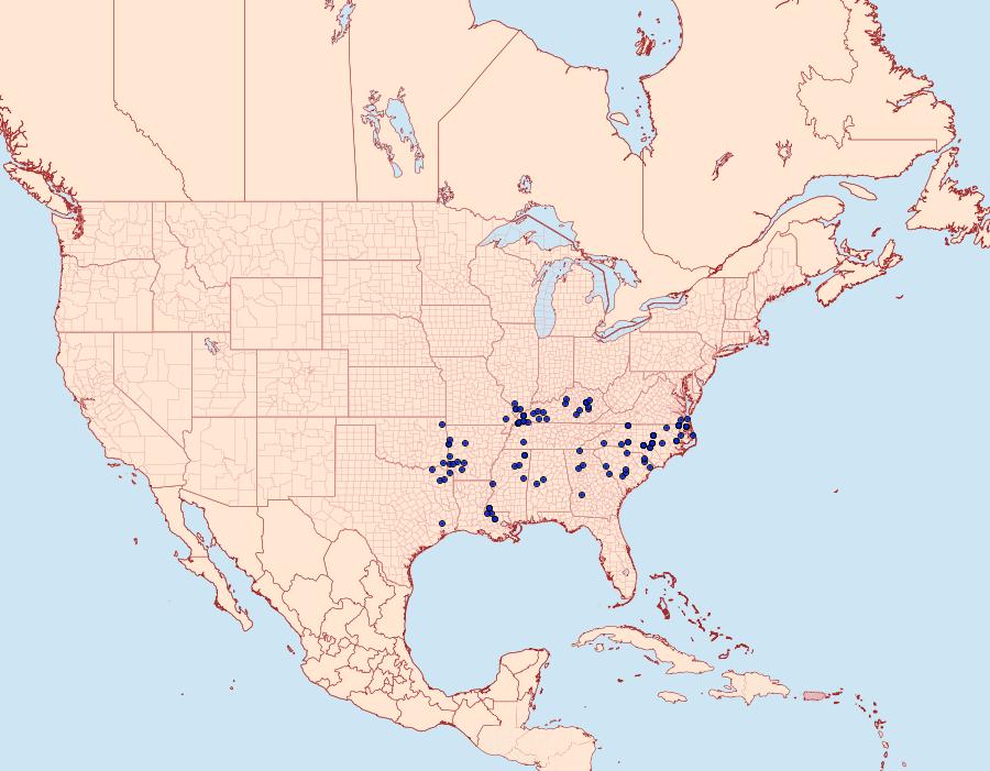 Distribution Data for Lethe creola