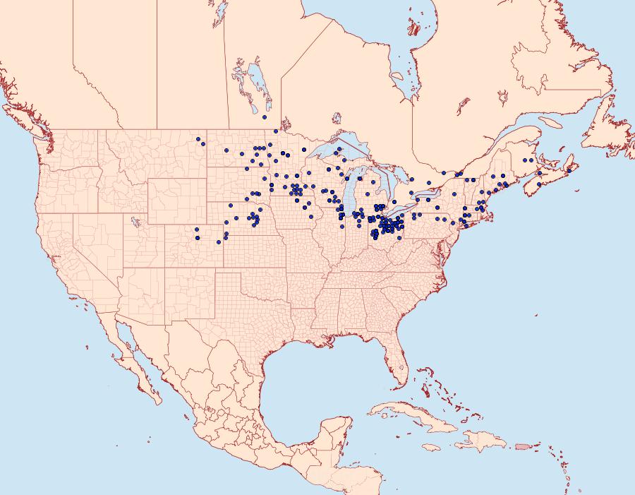 Distribution Data for Lethe eurydice