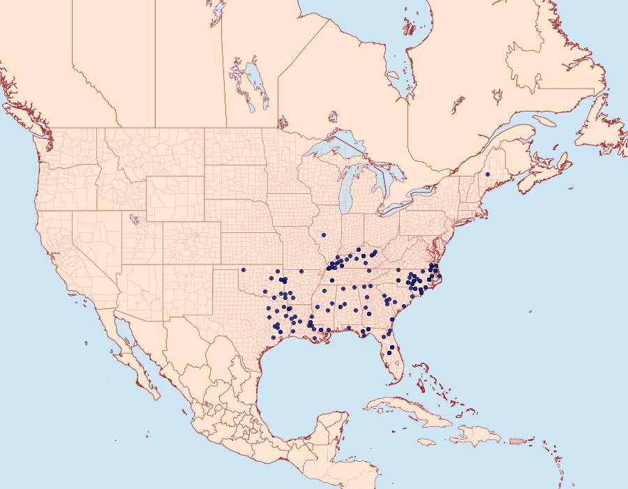 Distribution Data for Lethe portlandia