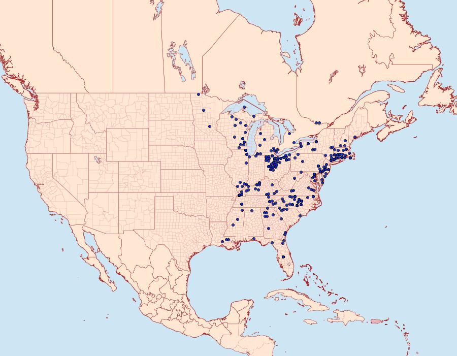 Distribution Data for Lethe appalachia