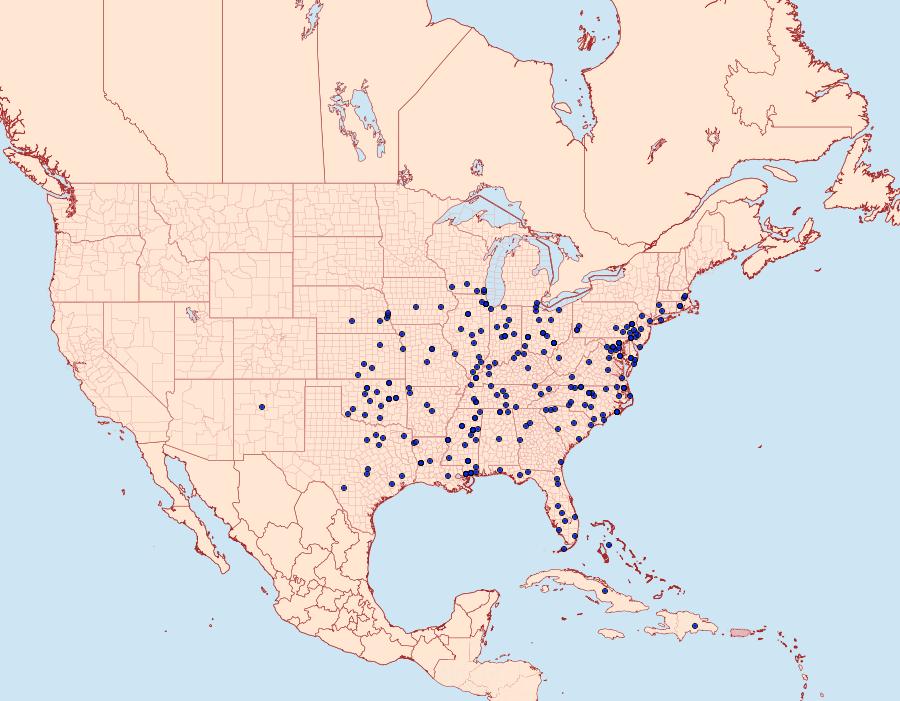 Distribution Data for Thyridopteryx ephemeraeformis