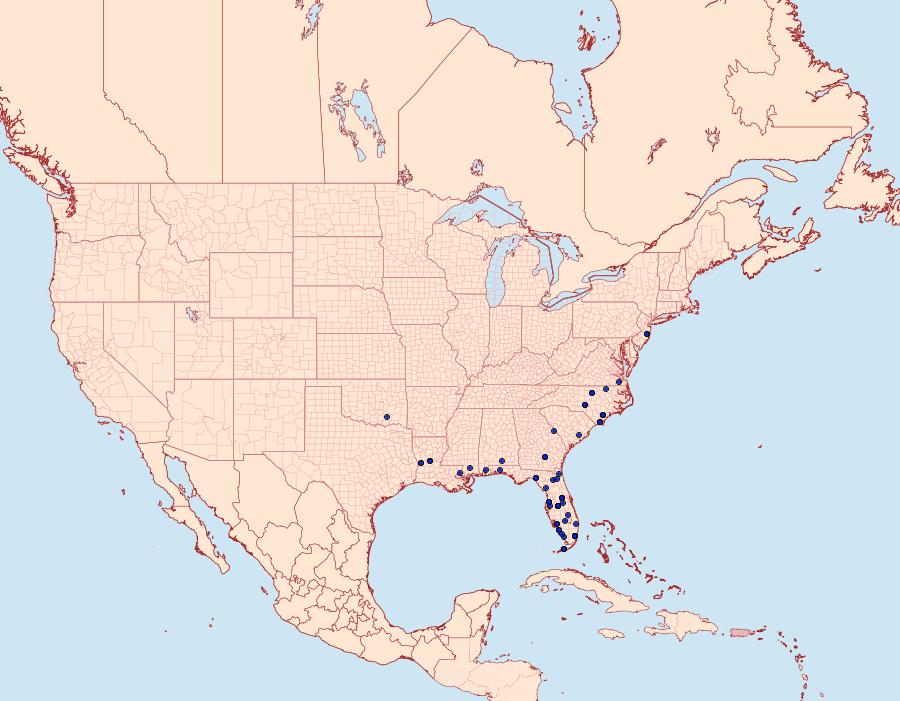 Distribution Data for Neonympha areolatus