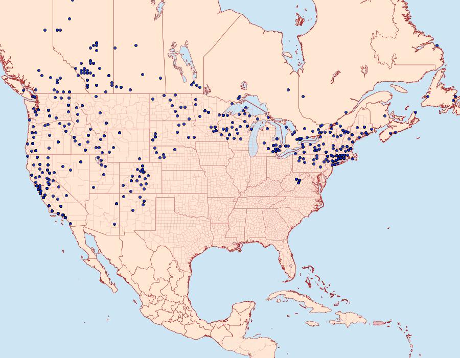 Distribution Data for Coenonympha tullia