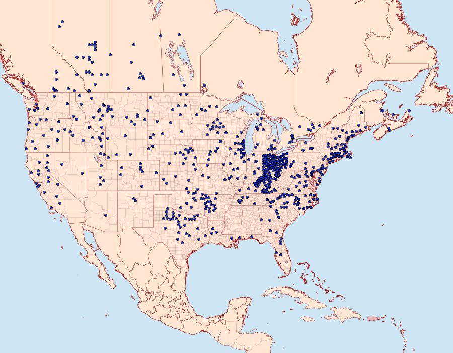 Distribution Data for Cercyonis pegala