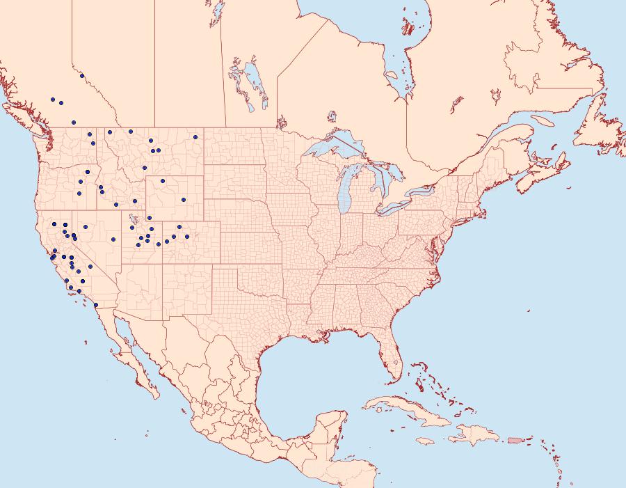 Distribution Data for Cercyonis sthenele