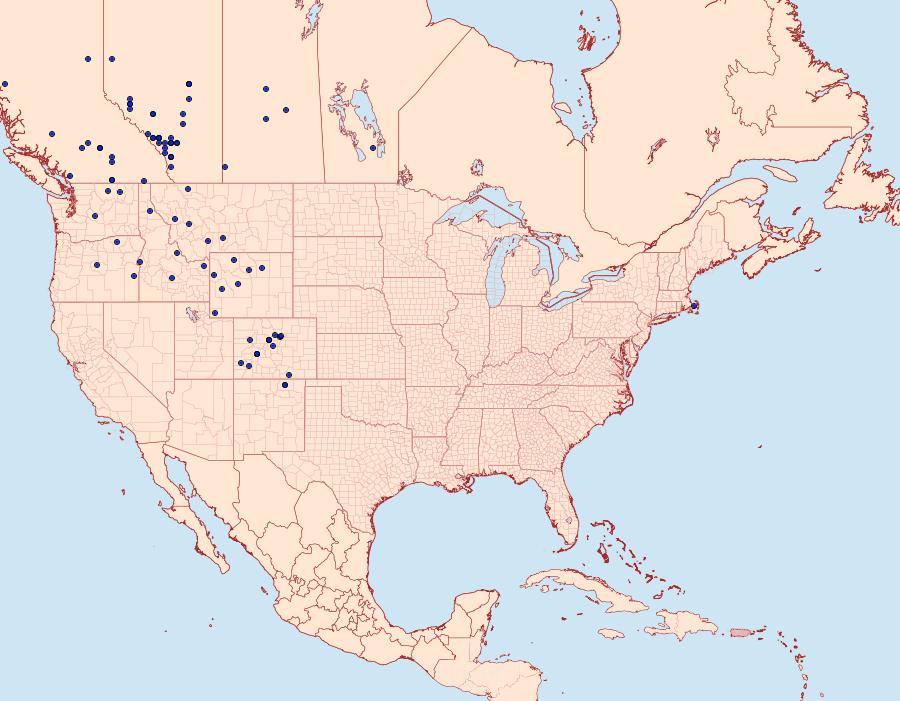 Distribution Data for Erebia epipsodea