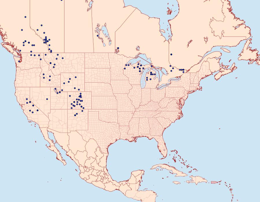 Distribution Data for Oeneis chryxus