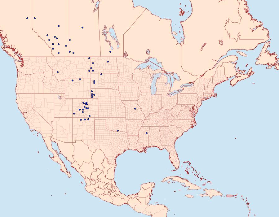 Distribution Data for Oeneis uhleri