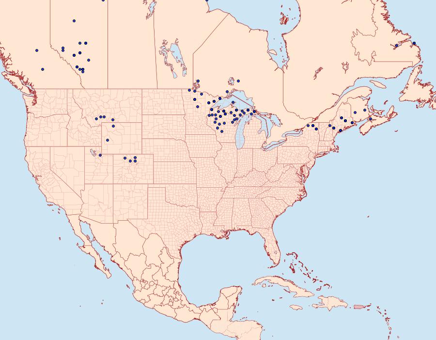 Distribution Data for Oeneis jutta