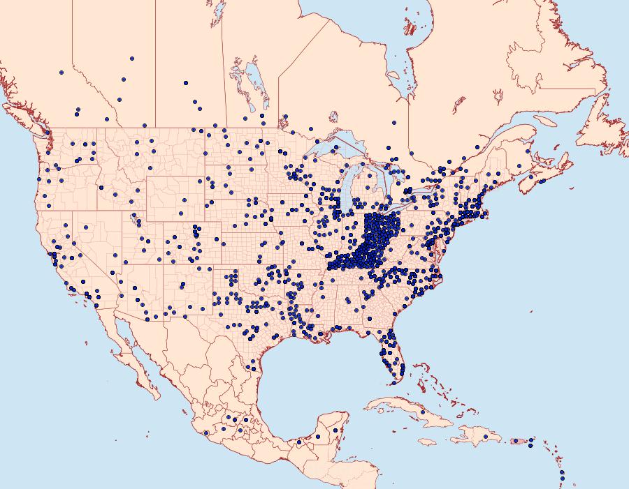 Distribution Data for Danaus plexippus