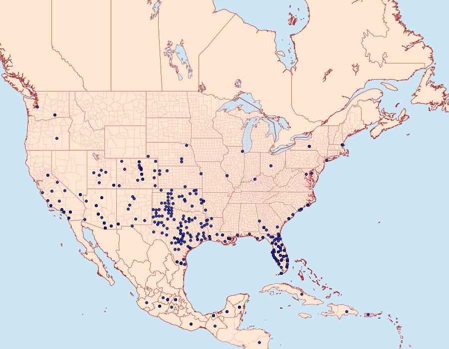 Distribution Data for Danaus gilippus