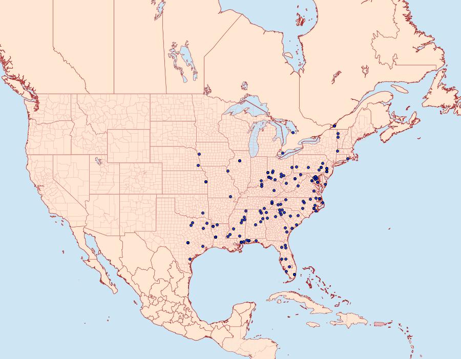 Distribution Data for Acoloithus falsarius