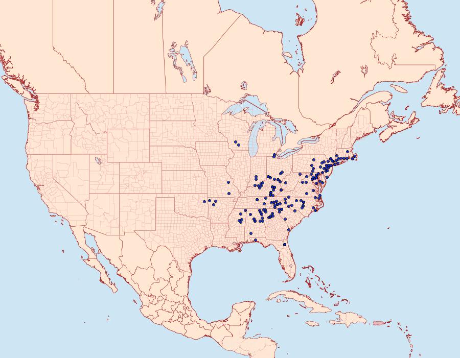 Distribution Data for Pyromorpha dimidiata