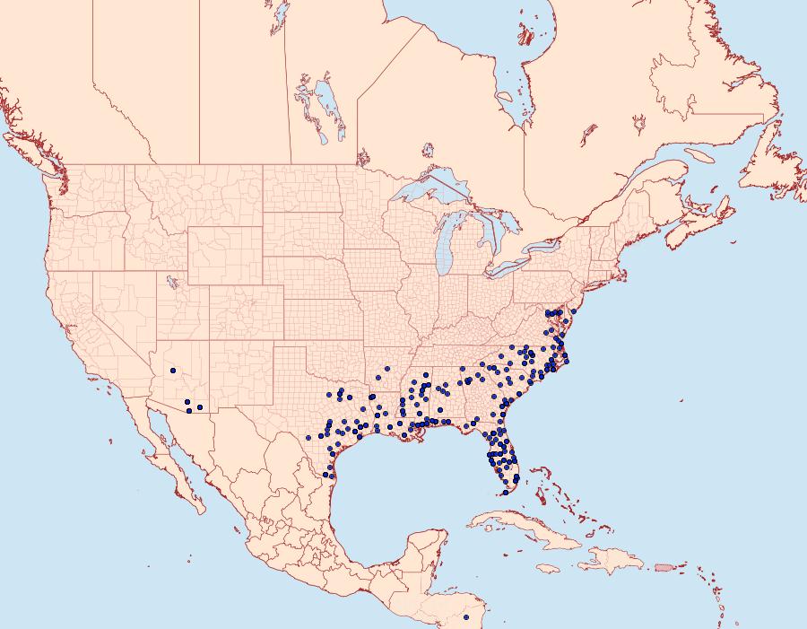 Distribution Data for Megalopyge opercularis