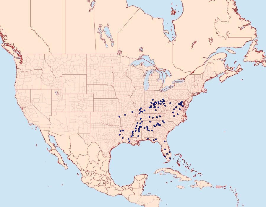 Distribution Data for Norape cretata