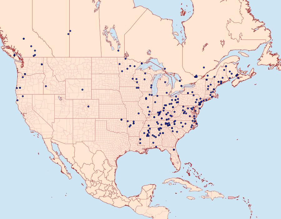 Distribution Data for Tortricidia testacea