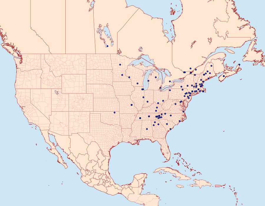 Distribution Data for Tortricidia pallida