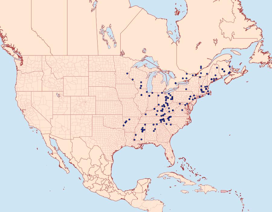 Distribution Data for Tortricidia flexuosa