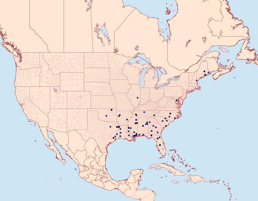 Distribution Data for Heterogenea shurtleffi