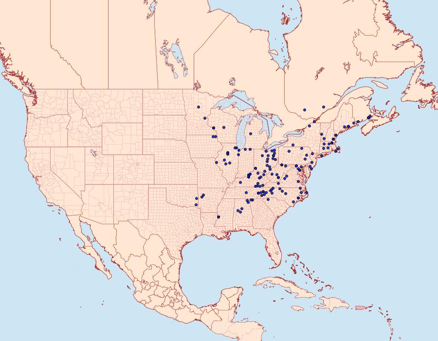 Distribution Data for Packardia geminata