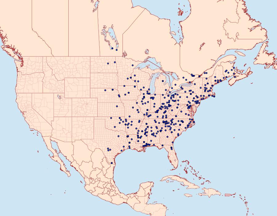 Distribution Data for Lithacodes fasciola