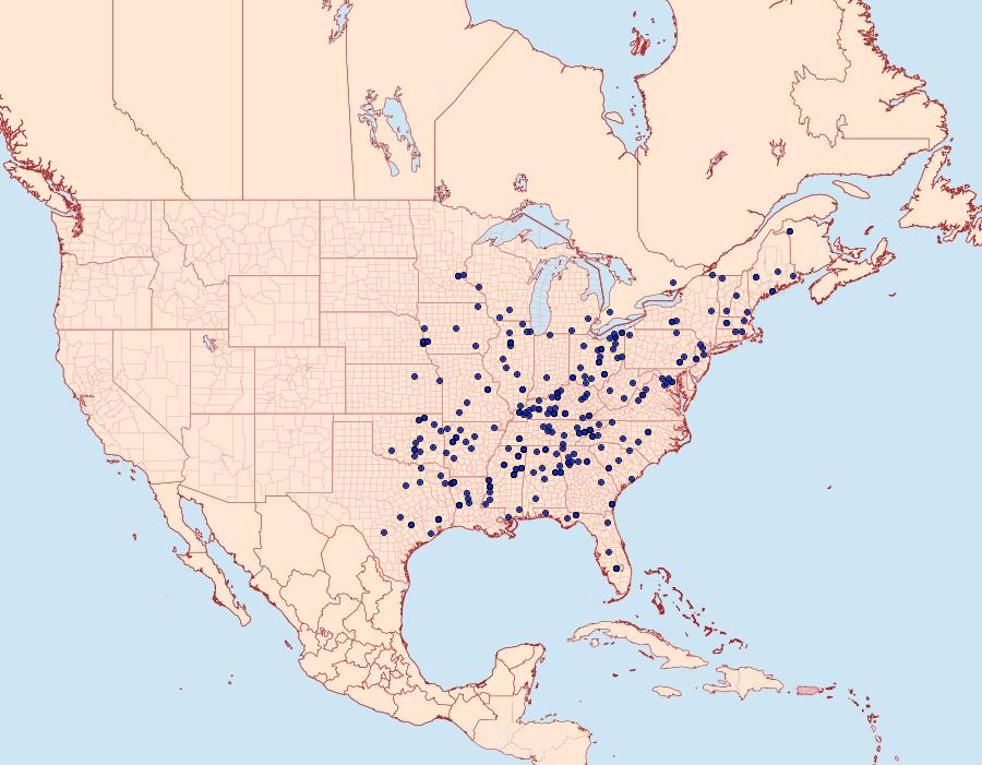 Distribution Data for Apoda y-inversa