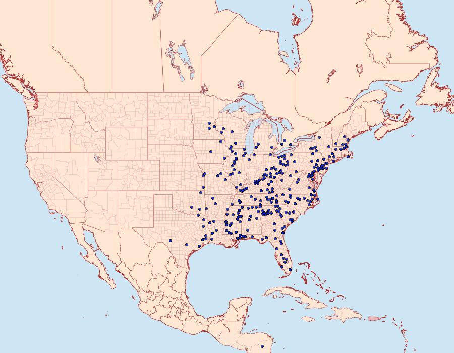 Distribution Data for Prolimacodes badia