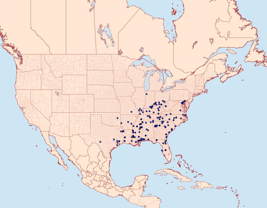 Distribution Data for Isochaetes beutenmuelleri