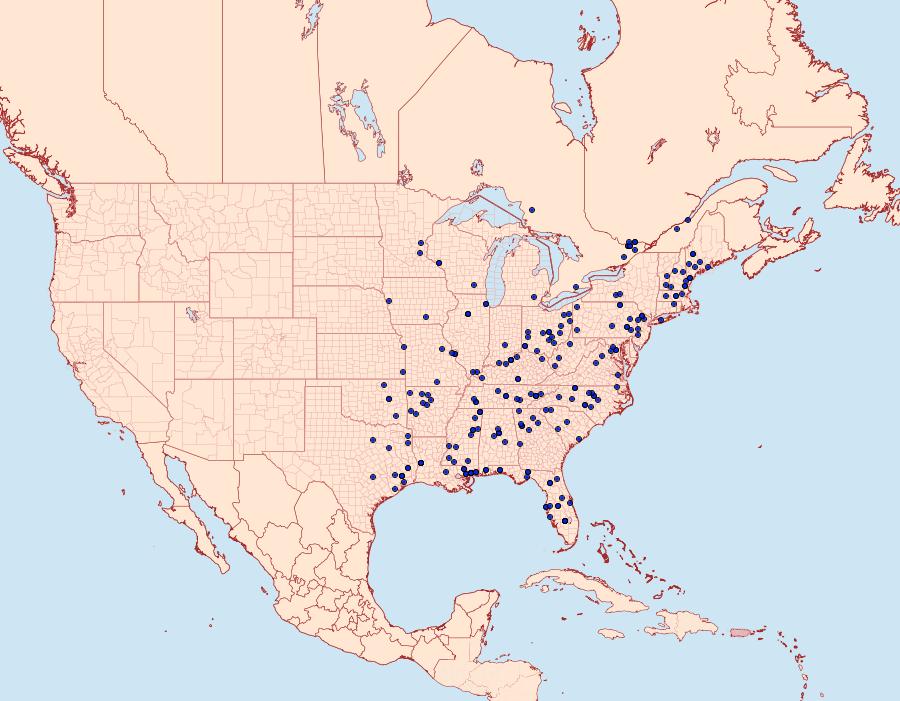 Distribution Data for Phobetron pithecium