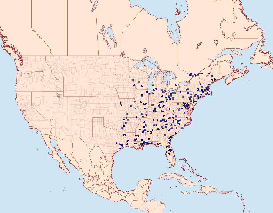 Distribution Data for Isa textula