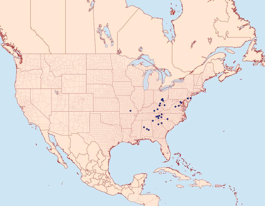 Distribution Data for Adoneta bicaudata