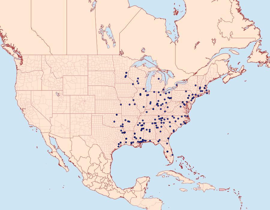 Distribution Data for Adoneta spinuloides