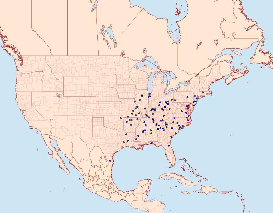 Distribution Data for Parasa indetermina