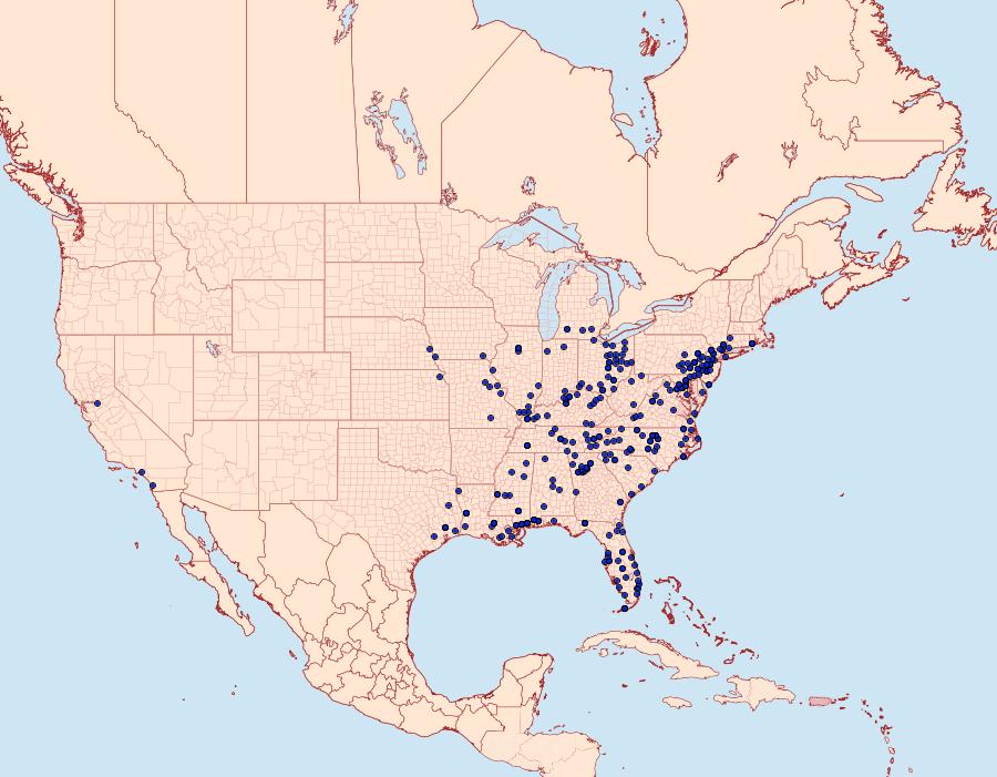 Distribution Data for Acharia stimulea