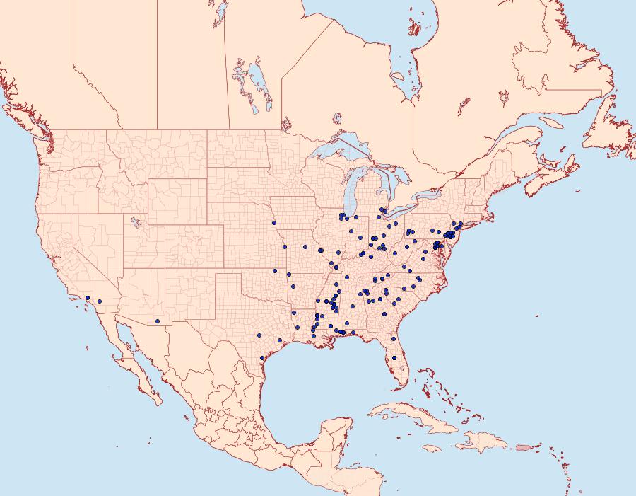 Distribution Data for Fulgoraecia exigua