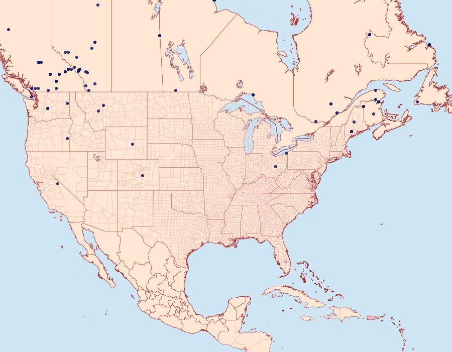 Distribution Data for Gesneria centuriella