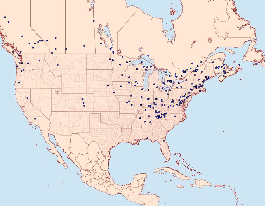 Distribution Data for Scoparia biplagialis