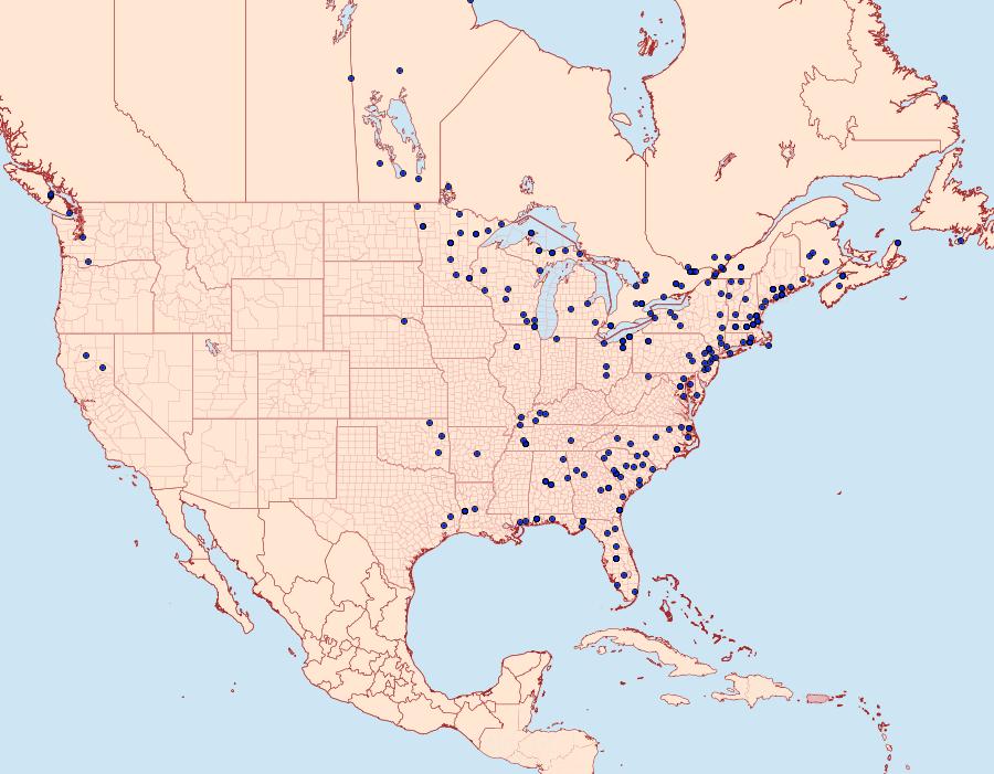 Distribution Data for Elophila icciusalis