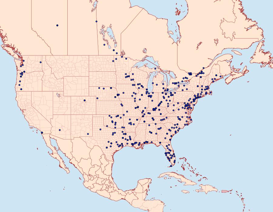 Distribution Data for Elophila obliteralis