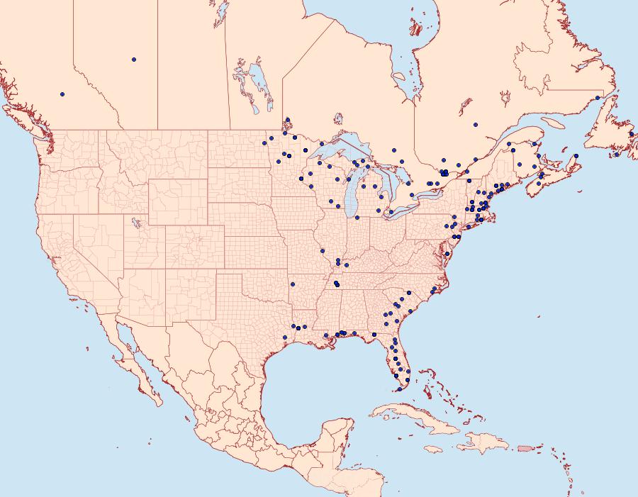 Distribution Data for Parapoynx maculalis