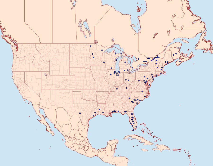 Distribution Data for Parapoynx obscuralis