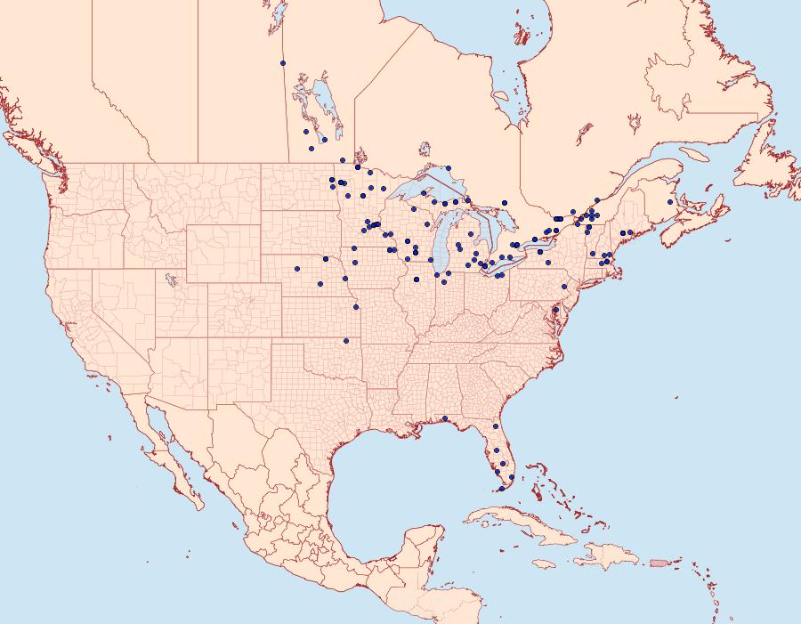 Distribution Data for Parapoynx badiusalis