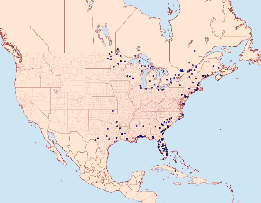 Distribution Data for Parapoynx allionealis