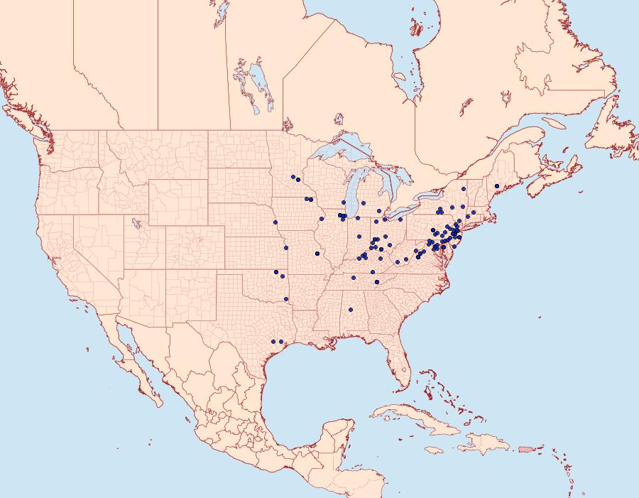 Distribution Data for Petrophila fulicalis