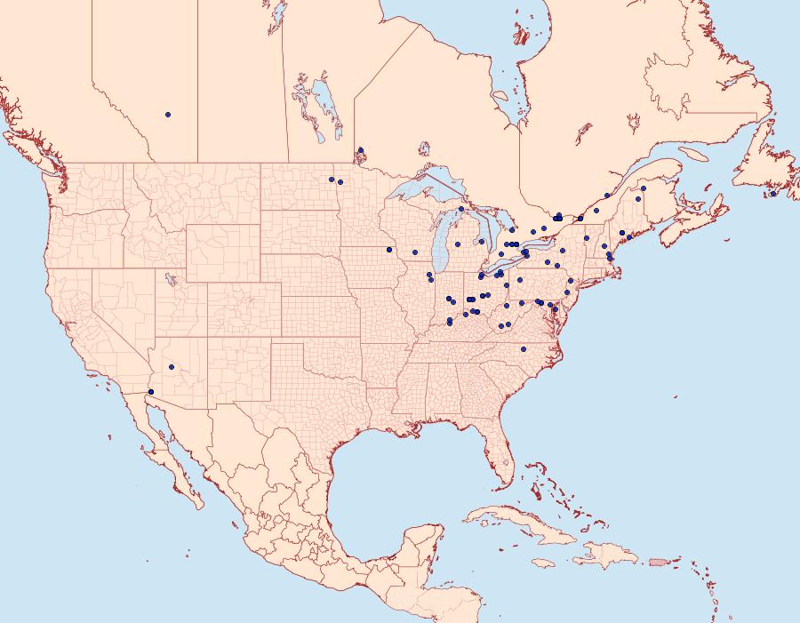 Distribution Data for Petrophila canadensis