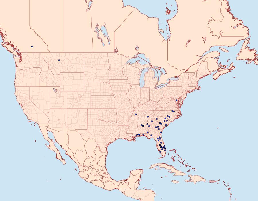 Distribution Data for Eoparargyractis irroratalis